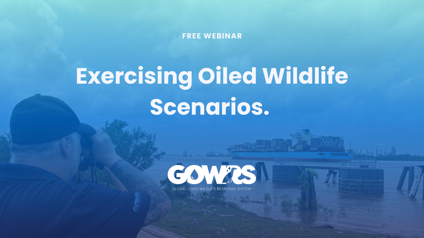 Webinar: “How can we exercise oiled wildlife scenarios?”